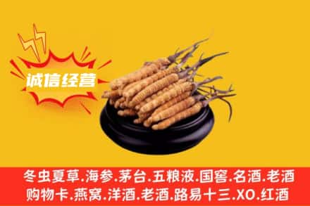武鸣区回收冬虫夏草